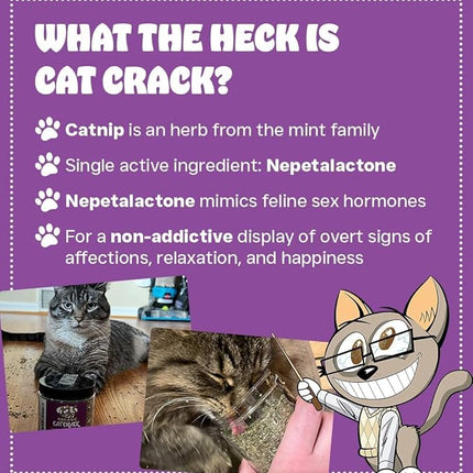 Cat Crack Organic Catnip, 100% Natural Cat Nips Organic Blend That Energizes and Excites Cats, Safe Catnip Treats Used for Cat Play, Cat Training, & New Organic Catnip Toys for Cats(1 Gallon Organic)
