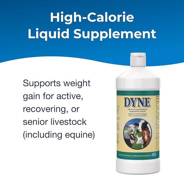 PetAg Dyne High Calorie Liquid Nutritional Supplement for Livestock - 32 oz - Includes Added Vitamins - Excellent for Underweight, Stressed, or Recovering Animals