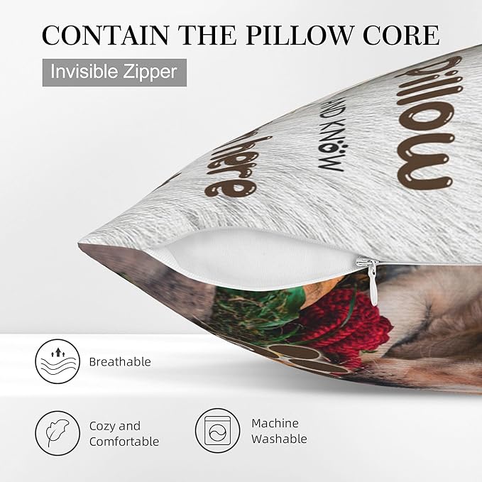 Funnylife Personalized Pet Memorial Throw Pillow with Photo Pet Memorial Gifts for Dogs Cats Loss of Dog Sympathy Gift Dog Bereavement Remembrance Picture Pillow