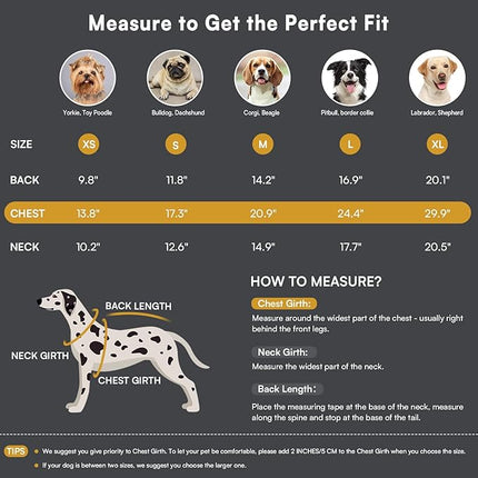 Queenmore Warm Dog Winter Coat, Cold Weather Waterproof Dog Snow Jacket, Reflective Dogs Hoodie with Long Sleeves for Small Medium and Large Dogs