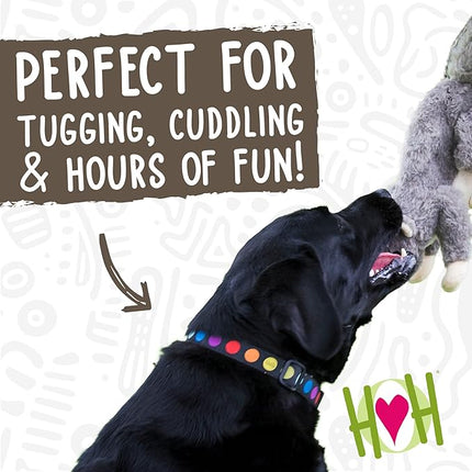 HuggleHounds Plush Dog Toy - Fuzzy Dog Toy, Soft Fleece, Interactive Durable Stuffed for Small and Large Breeds with Squeaker - Feller Squirrel, Small