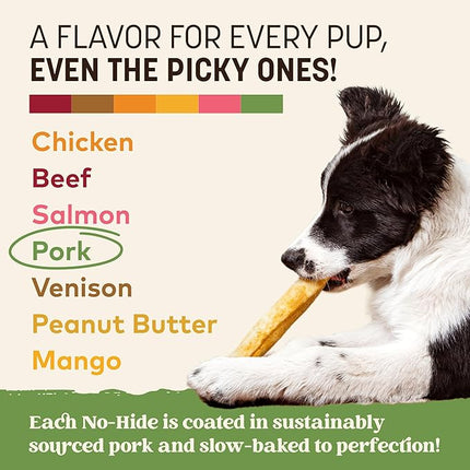 Earth Animal No Hide Chews - Long Lasting Rawhide Free Medium Dog Chews Rolls, Pork - 2 Count