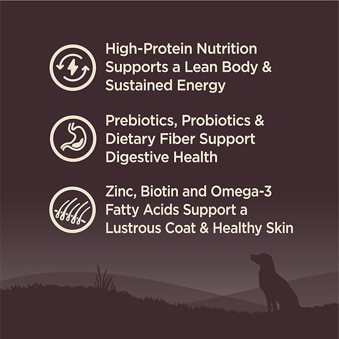 Wellness CORE Dry Dog Food, Grain-Free, High Protein, Natural, Ocean Whitefish, Herring, & Salmon Recipe, (12-Pound Bag)