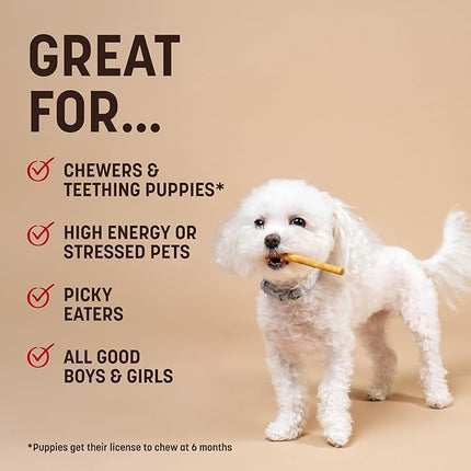 Earth Animal No Hide Stix - Long Lasting Rawhide Free Small Dog Chews Sticks, Holiday Feast - 20 Count Value Pack