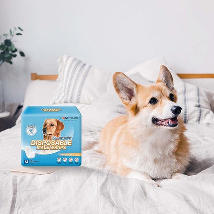 All-Absorb Male Dog Wrap, Large | 50 Count | Pack of 2