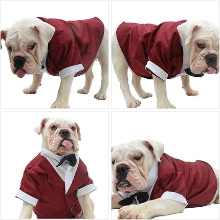Lovelonglong Bulldog Costume Dog Suit Formal Tuxedo with Black Bow Tie Wedding Clothes for Pugs/French Bulldog/English Bulldog/American Pit Bull Brown B-XL