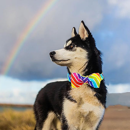 Lionheart glory Rainbow Dog Collar with Bowtie Colorful Summer Dog Bow Collars Heavy Duty Adjustable Pride Collars for Large Dogs Pet Gift Holiday