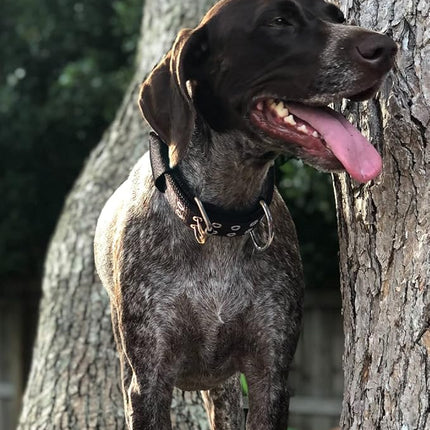 Dog Collar for Large Dogs - 2 in Black Collars with Handle for Extra Large Breed Dogs, Heavy Duty K9 Nylon Pet Tactical Collar XL, Best Choice for Pitbull Doberman Rottweiler 22"-27"