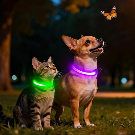Light up Collar for Small Dog,Vizpet XS Adjustable Size Nylon Collar USB Rechargeable Bright Safety Pet Collar for Cats Small Dogs(Purple, X-Small[ 8.66-11.9 inch/22cm-30cm])