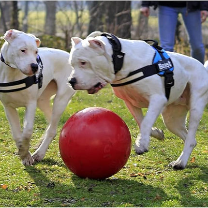 Jolly Pets Push-n-Play Ball Dog Toy, 4.5 Inches/Small, Red