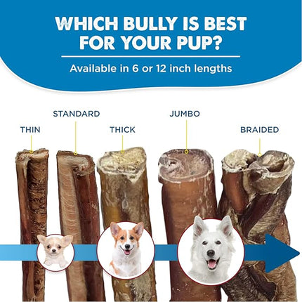 Best Bully Sticks Odorless 4-8 Inch Bully Sticks for Dogs - 8 oz (Pack of 1) - Natural Grass-Fed Beef, No Rawhide, Grain and Odor Free Chew Treat - Small, Medium, Large Breeds, Puppies