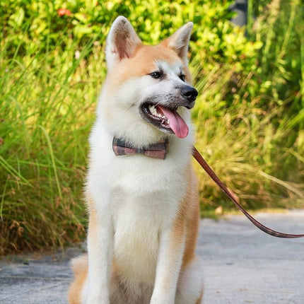 Faleela Cute Soft Girl Dog Collar with Bow, Bowtie Dog Collar for Boy,Detachable Adjustable Collar for Small Medium Large Pet