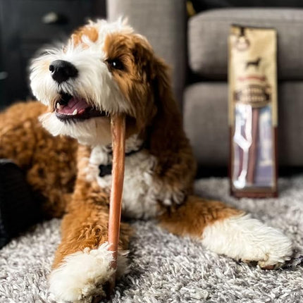 Bully Bunches Premium 6 Inch Standard Odor-Free Bully Sticks for Small to Medium Dogs & Puppies - Long Lasting Chews for Oral Care - All Natural, 100% Beef Dog Treats, Rawhide Free (10 Pk)