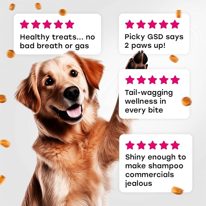 24-in-1 Complete Multivitamin Treats for Dogs – 8 Vitamins, Biotin, Probiotics, Glucosamine – Daily Wellness, Immune Support, Skin & Coat, Mobility – 140 Treats – Bacon Flavor – Made in USA