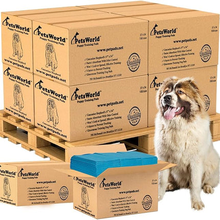 PETSWORLD Enormous Dog Training & Potty Pads, 37x54 inch - Tear Resistant with Strong Leak-Proof Backing, Optional Adhesive Tape, 1000 Count