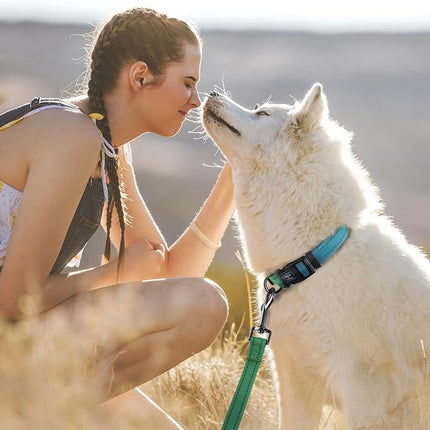 Roses&Poetry Bluegreen Small Dog Collar and Leash Set, Puppy Reflective Leashes with Collars, Adjustable Durable Matching Collar Leash for Small Dogs Girl (Bluegreen-XS)