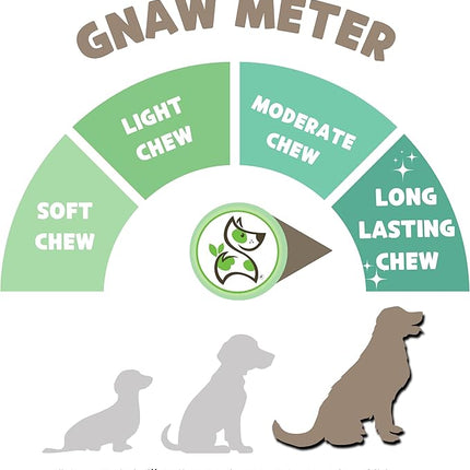 Nature Gnaws Large Bully Sticks for Dogs 11-12" (5 Count) - Thick Long Lasting for Aggressive Chewers and Large Dogs - Natural Beef Dog Chew Bones