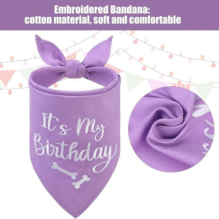 BINGPET Dog Birthday Bandana Scarf and Reusable Hat with 0-8 Figures,Cute Puppy Dog Birthday Outfit Party Supplies Gift for Small Medium Large Dogs Girl(X-Large)