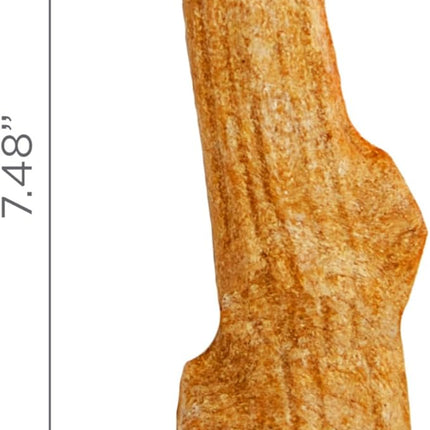 Petstages Outward Hound Super Dogwood Durable Dog Chew Toy, Small - Long Lasting Chew Sticks Made of Natural Wood - USA Made