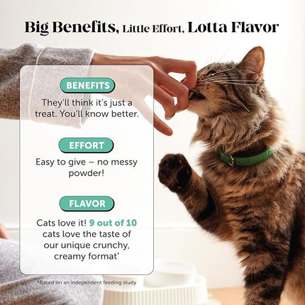 Fresh Breath Dental Bites for Cats – Crunchy & Creamy Cat Dental Treats for Fresh Breath, Tartar & Plaque Control – Dual-Texture Cat Oral Care Bites for Bright Teeth & Healthy Gums – 30 Day Supply