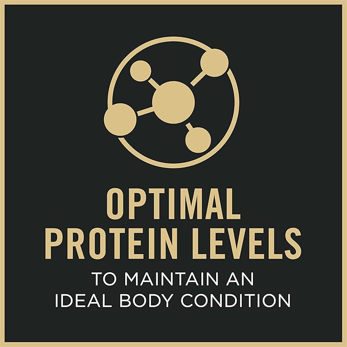 Purina Pro Plan Adult 7 Plus Beef and Rice Entree in Gravy Senior Wet Dog Food - (Pack of 12) 13 oz. Cans