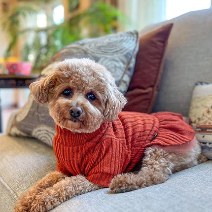 Fitwarm Knitted Dog Tulle Sweater Dress, Dog Winter Clothes for Small Dogs Girl, Cat Apparel, Orange, Medium