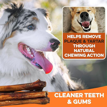 BRUTUS & BARNABY Bully Sticks for Dogs, Jumbo – Low-to-No Odor, Grass-Fed, Rawhide-Free Chews for Aggressive Power Chewers