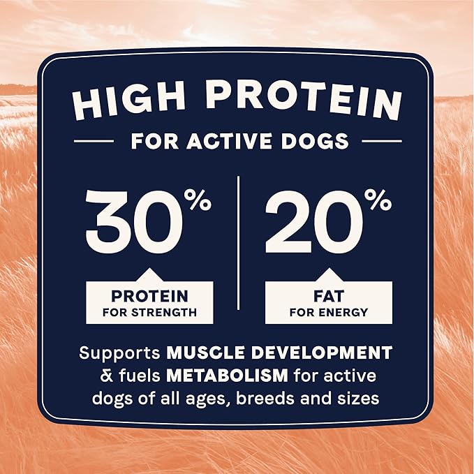 Canidae All Life Stages High Protein Dry Dog Food, Salmon & Ancient Grains Recipe, 27 lbs.