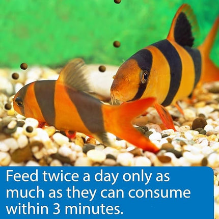 API Bottom Feeder Shrimp Pellet 7.9 Ounce (2 Pack)