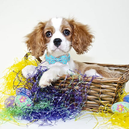 Easter Dog Collar with Bow Tie - Adjustable Easter Bunny Eggs Dog Collar Blue Rabbit Bowtie Metal Buckle Puppy Collars for Small Medium Large Dogs M