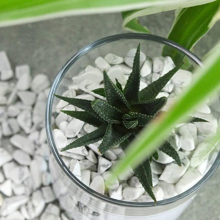 Howlite Aquarium Gravel Rocks Natural Tumbled Healing Crystal Chips Bulk Gemstones Crushed Stones for Fountain Vase Filler Planters Decorative Fish Tank Potted Reiki Energy Balancing 0.45lb