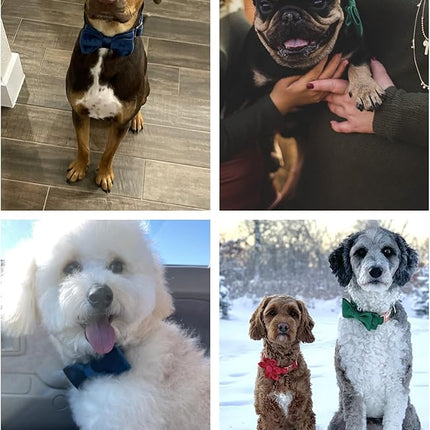 ARING PET Bowtie Dog Collar,Velvet Dog Collars with Removable Bowtie, Christmas Adorable Dog Collar, X-Small.