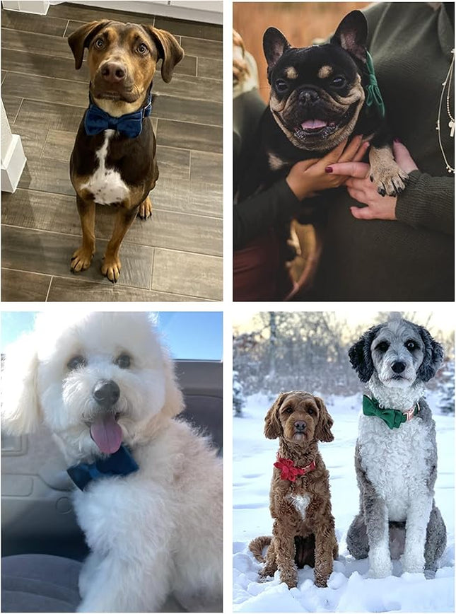 ARING PET Velvet Dog Collars with Bow tie, Dog Bowtie Collar, Adjustable Green Dog Collar,Small.