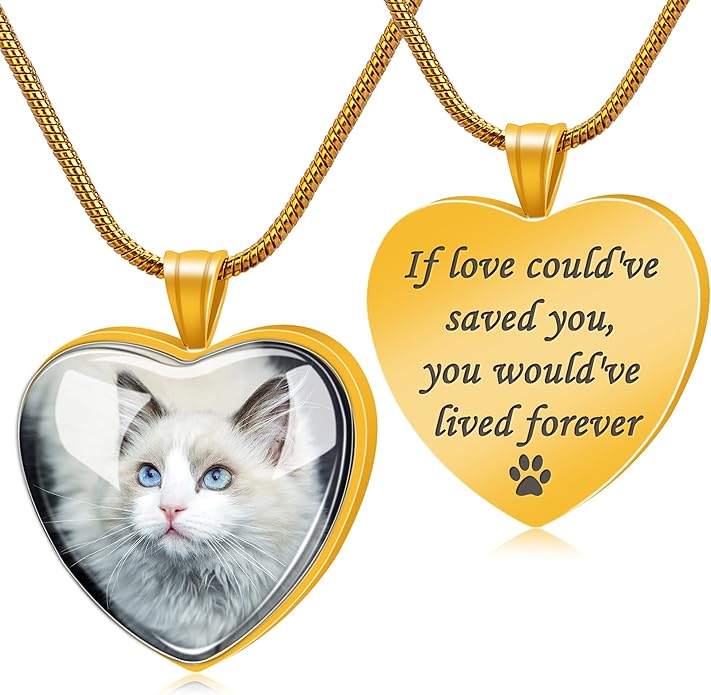 Farfume Personalized Pet Urn Necklace for Dog Cat Ashes Cremation Pet Memorial Customized Photo Text Engraving Pendant Keepsake Funeral Jewelry