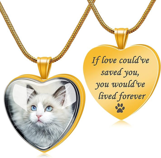 Farfume Personalized Pet Urn Necklace for Dog Cat Ashes Cremation Pet Memorial Customized Photo Text Engraving Pendant Keepsake Funeral Jewelry