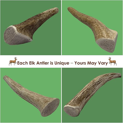 6-Pack Medium Whole Elk Antler Dog Chews (5.5 to 8+ in) – Long Lasting Natural Dog Bones for Small & Medium Dogs Under 40 lbs, Aggressive Chewers, Teeth Cleaning, No Rawhide