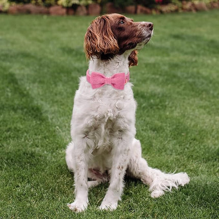 Hot Pink Dog Collars for Small Dog,Cute Corduroy Dog Collar with Bow Tie Safety Metal Buckle Adjustable Puppy Collars for Small Medium Large Boy&Girl Dogs,XS-Neck 8"-12"