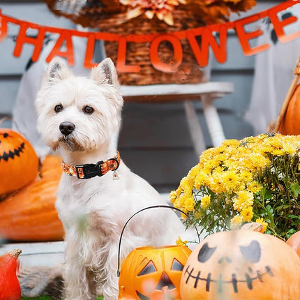 ARING PET Halloween Dog Collar, Ghost Pumpkin Spider Web Skeleton Pet Collars for Small Medium Large Girl Boy Dogs Puppy Collar with Quick Release Buckle-XL Size