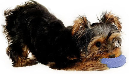 Playology Dog Toys | Dual Layer Ring Durable Chew Toy for Aggressive Chewers | Small Blueberry Scented Toy - Easy to Clean and Made from Non Toxic Materials