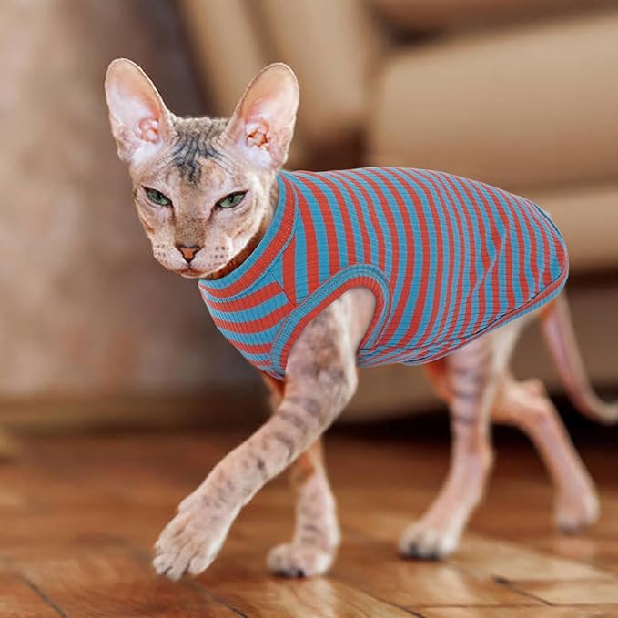 BRKURLEG Hairless Cats T Shirt, Cat Sweaters, Pullover Kitten Shirts, Sleeveless Round Collar Cotton Vest for Cornish Rex Devon Rex Peterbald and Small Dogs Sweater(OrangeBlue Stripes, S)