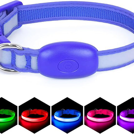 Light up Collar for Small Dog,Vizpet XS Adjustable Size Nylon Collar USB Rechargeable Bright Safety Pet Collar for Cats Small Dogs (Blue, X-Small[ 8.66-11.9 inch/22cm-30cm])