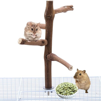 Bird Perch Stand Toy, Natural Grapevine Wood Parrot Perch Bird Cage Branch Accessories for Parakeets Cockatiels Conures Macaws Finches Love Birds(9.8" Length)