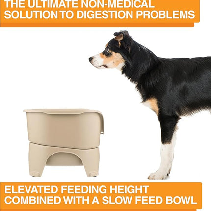 Neater Feeder - Express Model w/ Slow Feed Bowl - Mess-Proof Dog Bowls (M/L, Almond) Made in USA – Elevated, No Spill, Non-Tip, Non-Slip, Raised Stainless Steel Food/Water Pet Bowls Aid Digestion