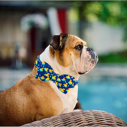 Lionheart glory Dog Bow Collar Ducky Pattern Cute Boy Collars for Small Dogs,Soft Duty Adjustable Dog Collar with Bowtie Spring Summer Puppy Collars Bows Pet Gift