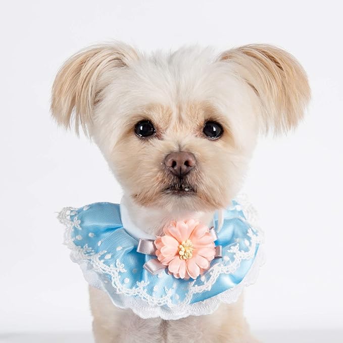 2PCS Dog Cat Collar Flower Bow Lace Pet Bib Cute Scarfs Necklace Neck Strap for Pet Costume Supplies