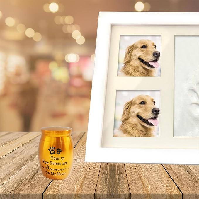 Small Pet Urns for Dogs Ashes Mini Urn Dog Ashes Cremation Keepsake Pet Memorial Urns Gift， Gold
