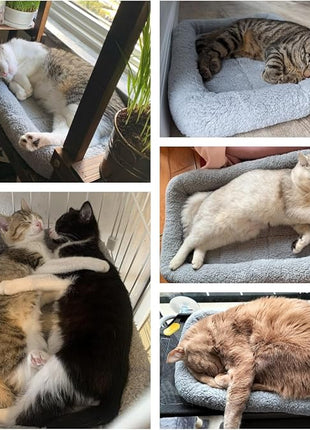 Cat Bed Washable Indoor Cat Cushion Bed, Soft and Cozy Plush Pet Bed-M