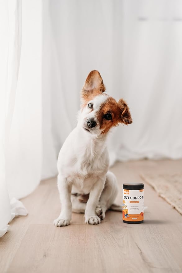 Pumpkin Gut Support for Dogs – Digestive Health Supplement with Natural Fiber & Probiotics, 60 Servings | Kubi Pets
