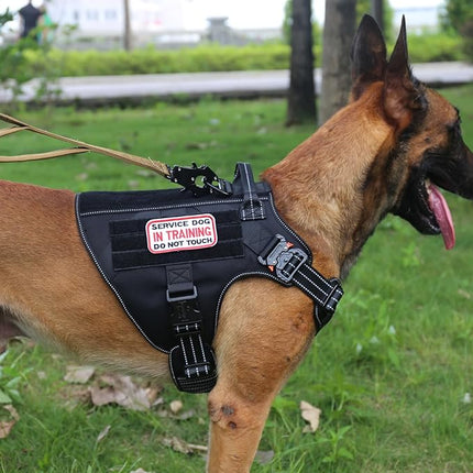 ICEFANG Tactical Dog Harness, Large Size,2X Metal Buckle,Working Dog MOLLE Vest with Handle,No Pulling Front Leash Clip,Hook and Loop Panel (Black,L (Pack of 1))