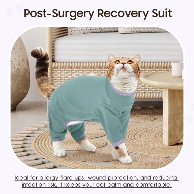 DENTRUN Cat Clothes for Hair Control with Hair Sticky Fabric - Soft Recovery Suit & Breathable Lint-Resistant Cat Sweater for Cats Only, Kitten Onesie Pajamas, M, Bean Green